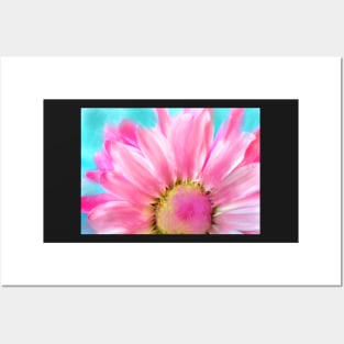 Pretty in Pink - Still Life - Daisy Posters and Art